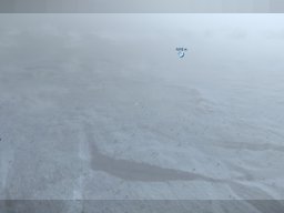 RavensRost Anflug